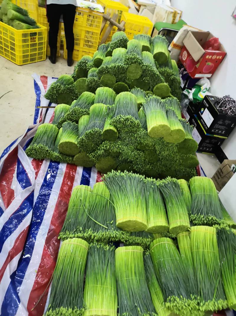 苔小哥韭菜花