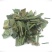 中药材精选正品淡竹叶新货批发散装石淡竹叶量大从优