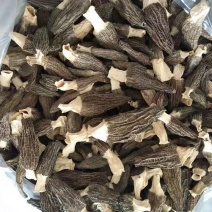云南精品羊肚菌
