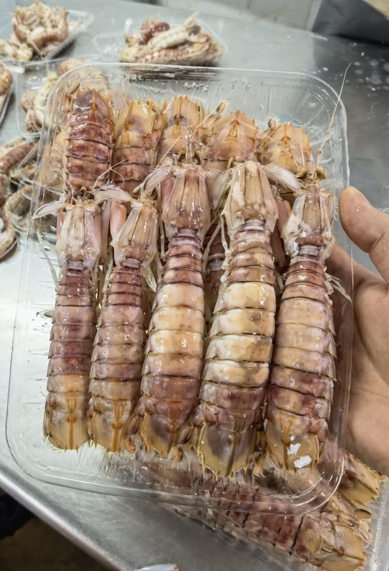 活煮：皮皮虾-精挑细选虾
