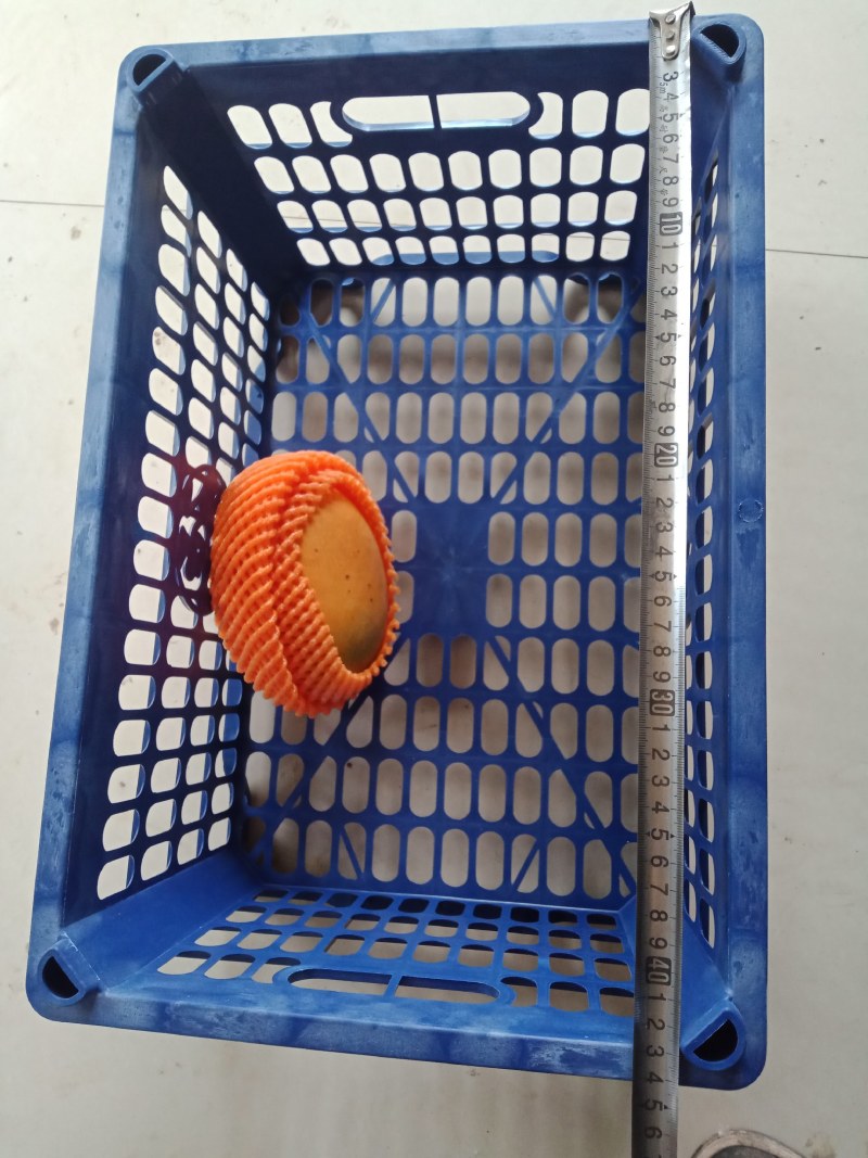 塑料筐