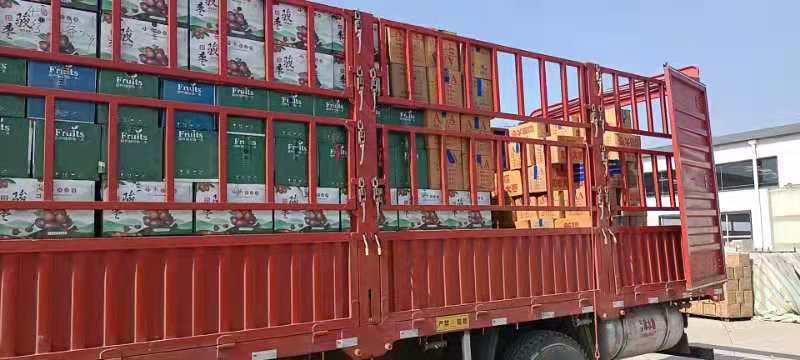 【优质货源】桑葚干厂家直供一手货源质优价廉干度好