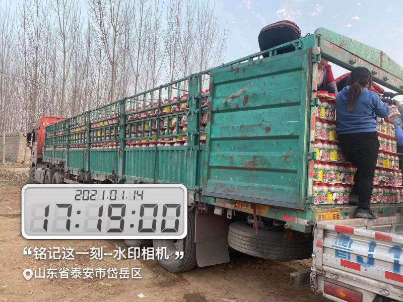 【牛商热卖】农村特产鲜蛋腌制桶装大鹅蛋厂家直销手续齐全