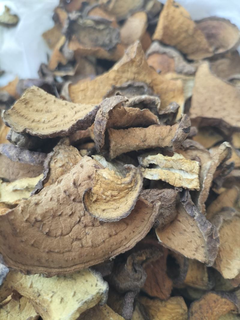 云南凤庆野生山乌龟，地不容金不换切片干货