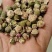 平阴玫瑰花托万亩玫瑰种植加工基地