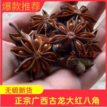 无硫大红八角干枝八角春花八角黑八角水烫全干各种产地货源