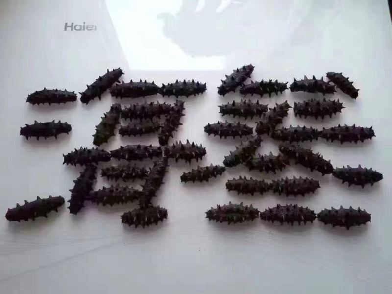 淡干海参全规格上架质量价格挑战全网自己加工厂出品