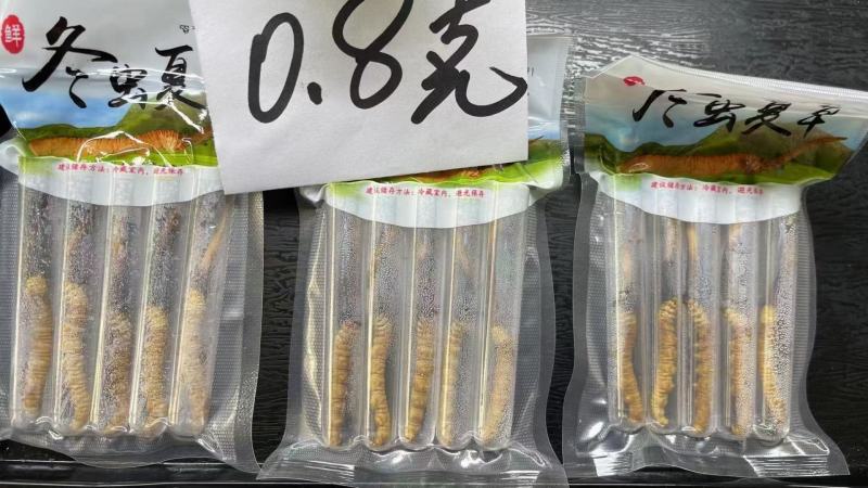 青海西宁虫草交易市场17