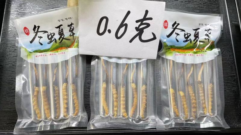 青海西宁虫草交易市场17