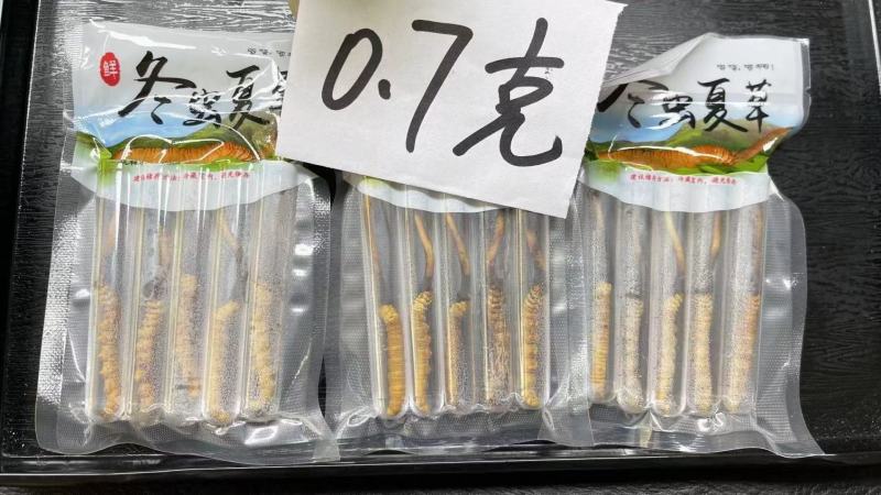 青海西宁虫草交易市场17