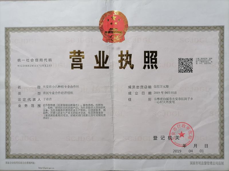 代收大安黄菇茑/提供库房灯笼果/黄菇茑/批发/零售/