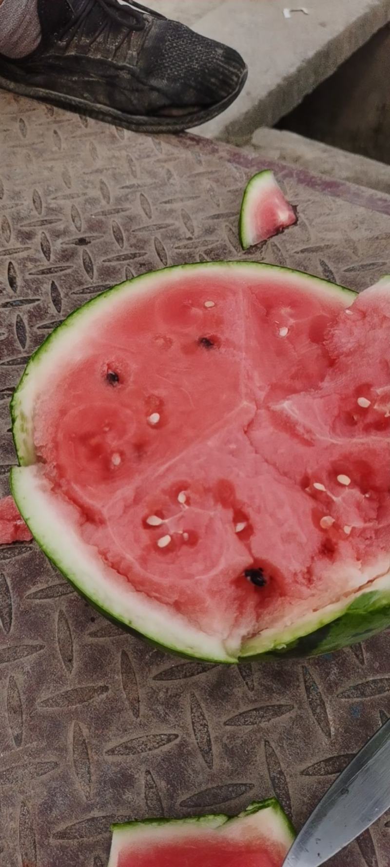 美都精品西瓜，黑子脆甜可口小，甜而不腻，老少孕妇皆宜