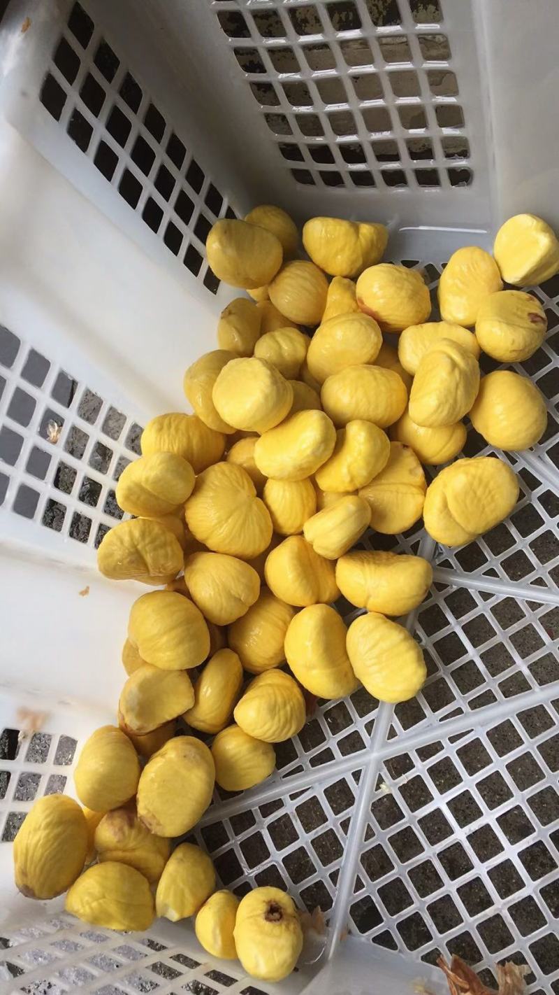 纯手工加工纯板栗粉生板栗粉熟板栗粉无添加更健康面点糕点奶