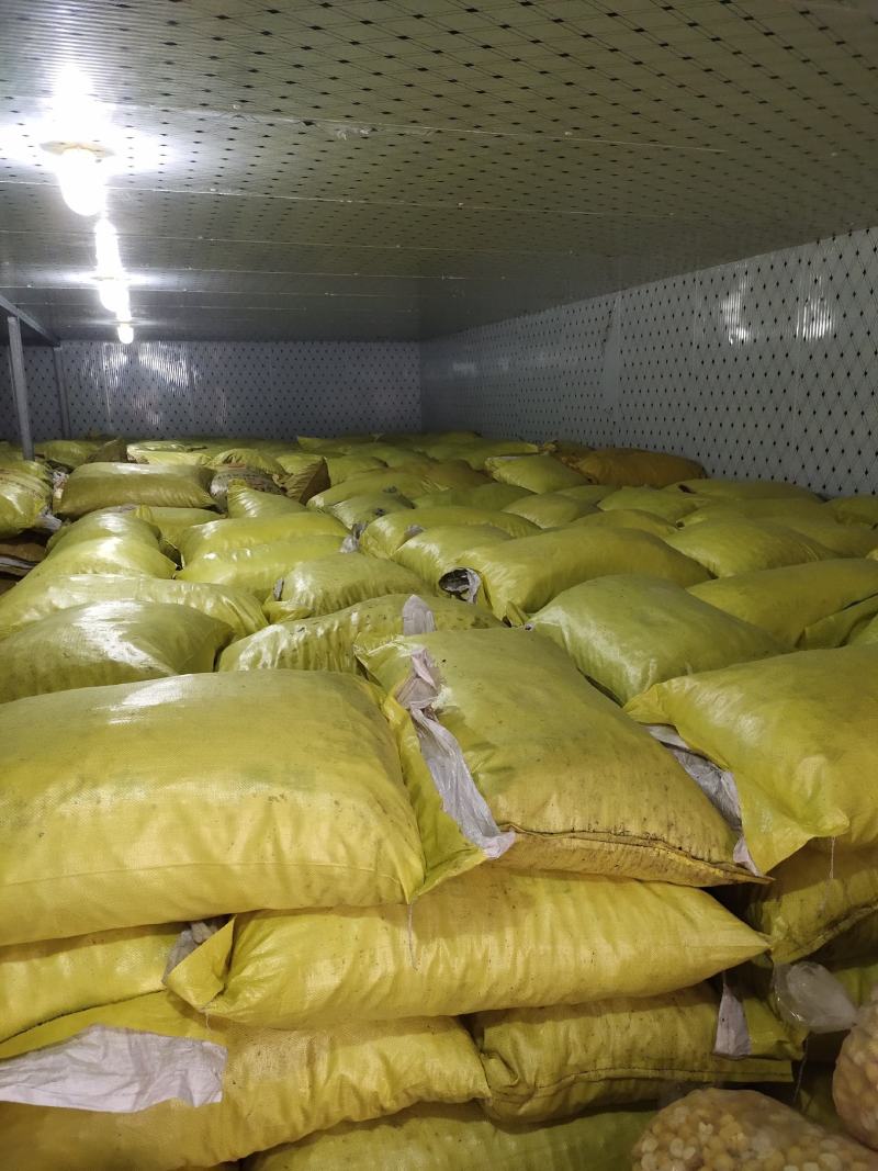 纯手工加工纯板栗粉生板栗粉熟板栗粉无添加更健康面点糕点奶