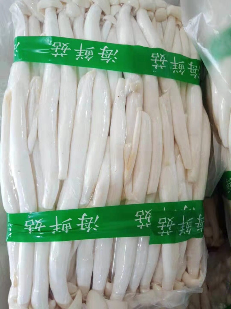 金针菇大量供应平台、****、无限量供应平台