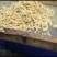 批发黑水虻卵处理餐厨废弃物水产养殖畜禽好饲料