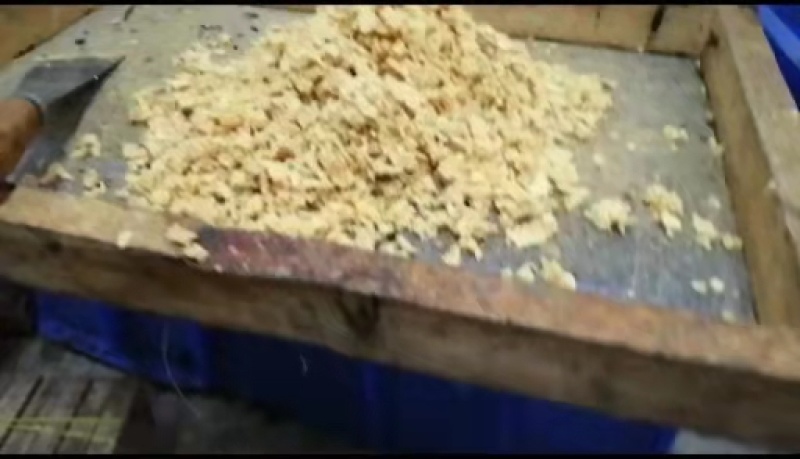 批发黑水虻卵处理餐厨废弃物水产养殖畜禽好饲料