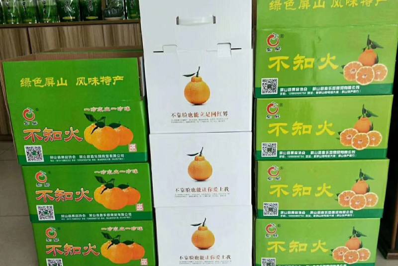 产地屏山不知火[现摘鲜货]丑橘口感脆甜，糖份足，