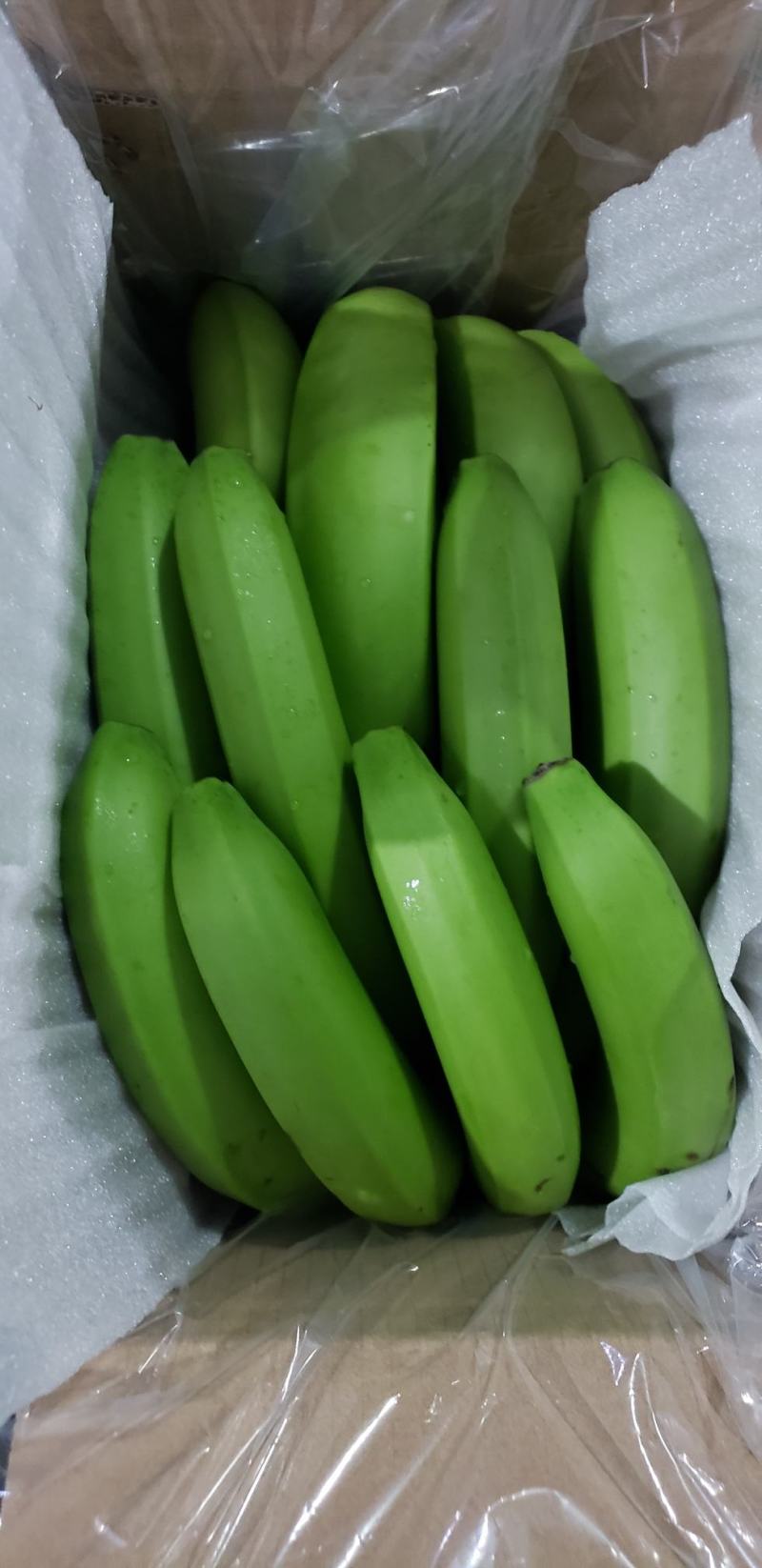 只做代发云南新鲜高山甜香蕉