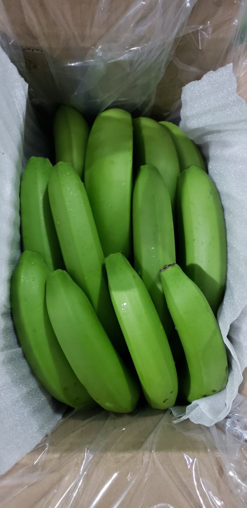 只做代发云南新鲜高山甜香蕉