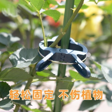 大棚黄瓜夹子番茄西红柿绑蔓夹吊秧夹吊蔓夹扶蔓夹落秧夹绑秧