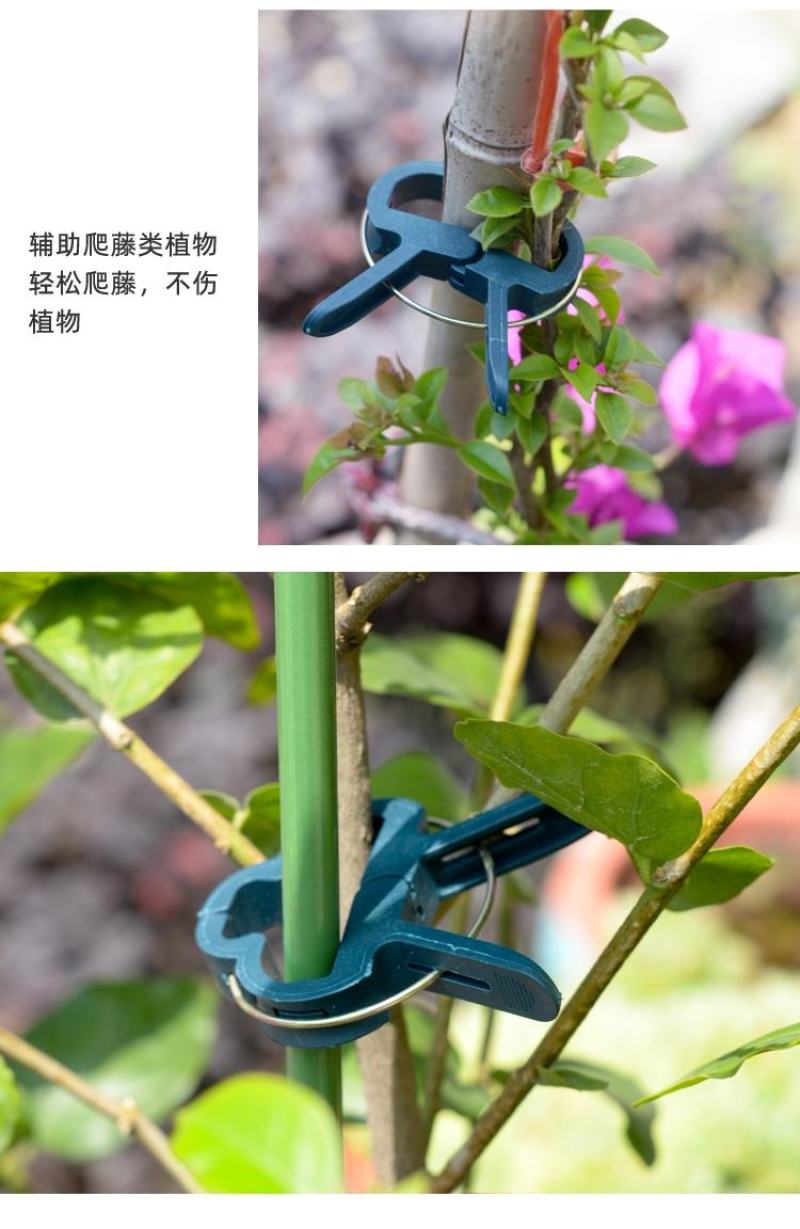 大棚黄瓜夹子番茄西红柿绑蔓夹吊秧夹吊蔓夹扶蔓夹落秧夹绑秧