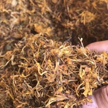 金银花