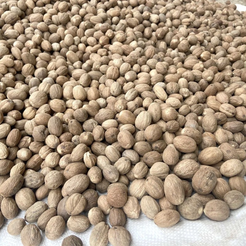 中药材精选无硫白寇白豆蔻无硫熏白蔻天然白扣豆蔻火