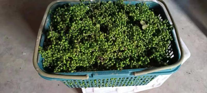 新鲜花椒，颜色绿，味道香麻，原汁原味无添加，需要的联系！
