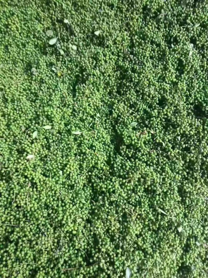 新鲜花椒，颜色绿，味道香麻，原汁原味无添加，需要的联系！