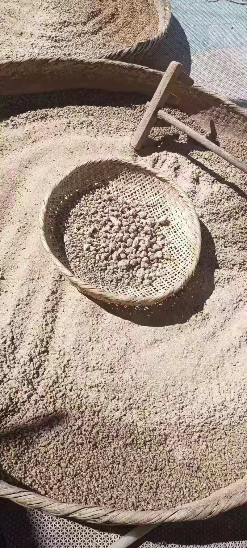 青稞酒