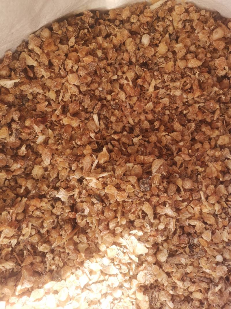 陕西薤白无杂净货过风车量大从优欢迎选购