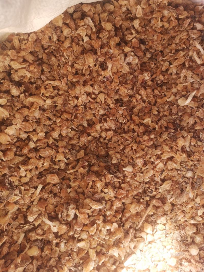 陕西薤白无杂净货过风车量大从优欢迎选购
