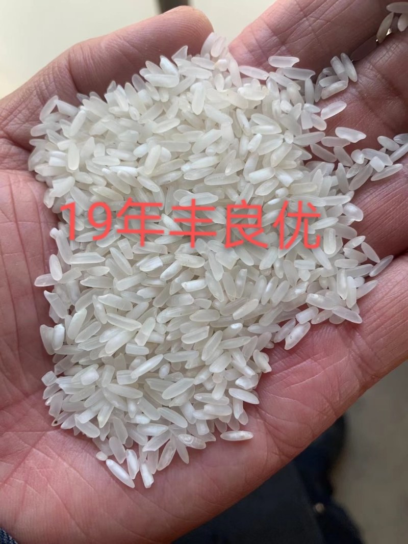19年丰良优，品质好口感好！