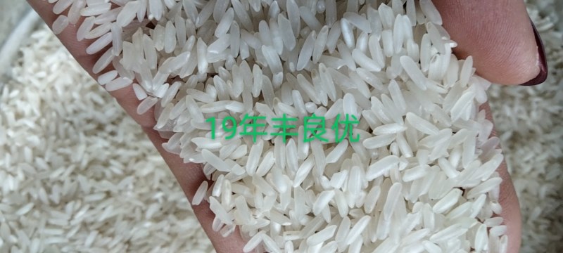 19年丰良优，品质好口感好！