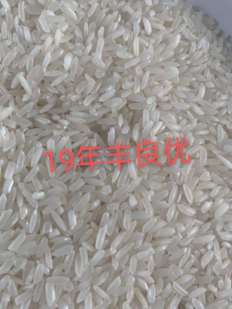 19年丰良优，品质好口感好！
