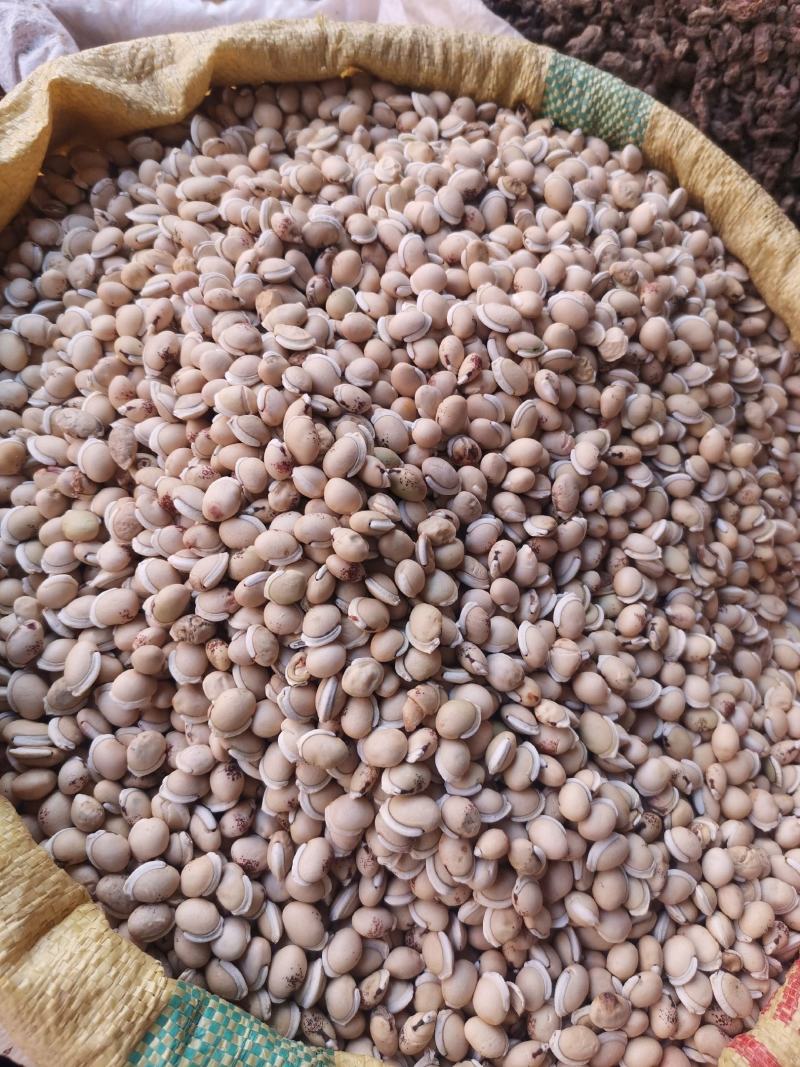 优质云南白扁豆量大从优规格齐全欢迎选购