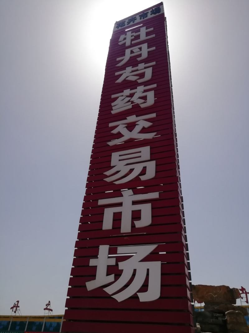 芍药品种观赏芍药租地到期价格优惠，欢迎考察