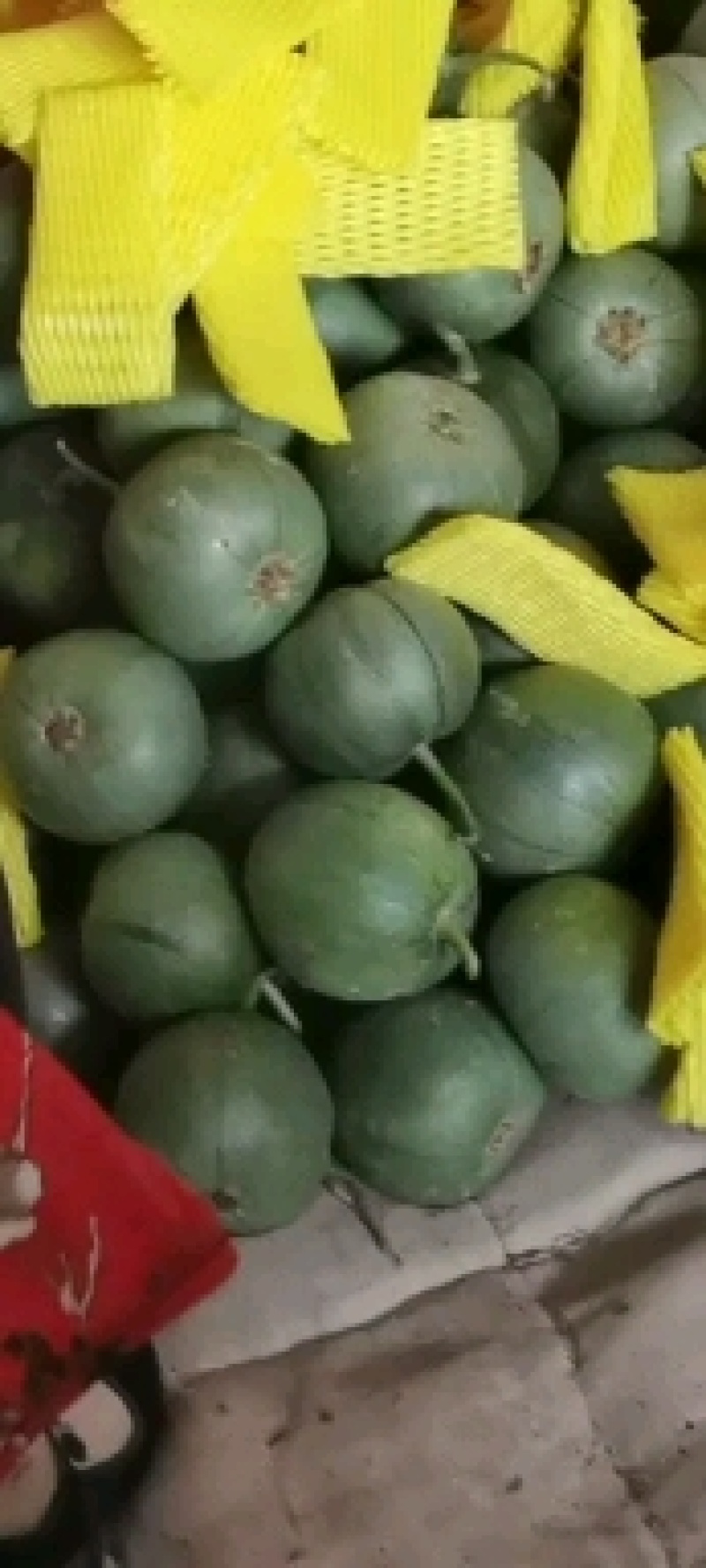 【推荐】山东潍坊青州精品绿宝甜瓜新鲜上市