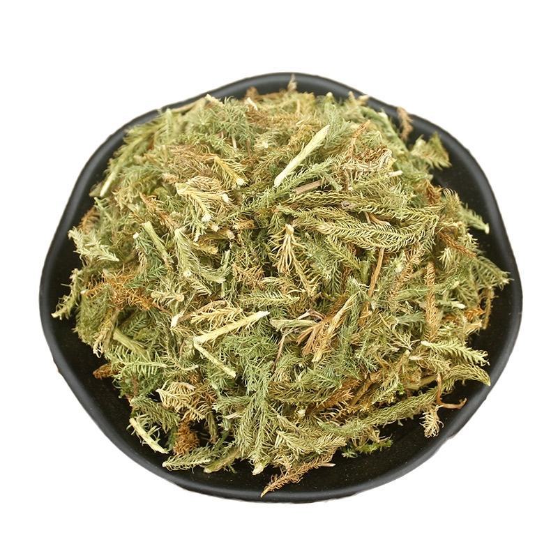 伸筋草中药材批发舒筋草马尾生筋草筋骨草石松狮