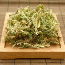 伸筋草中药材批发舒筋草马尾生筋草筋骨草石松狮