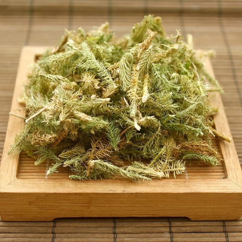 伸筋草中药材批发舒筋草马尾生筋草筋骨草石松狮