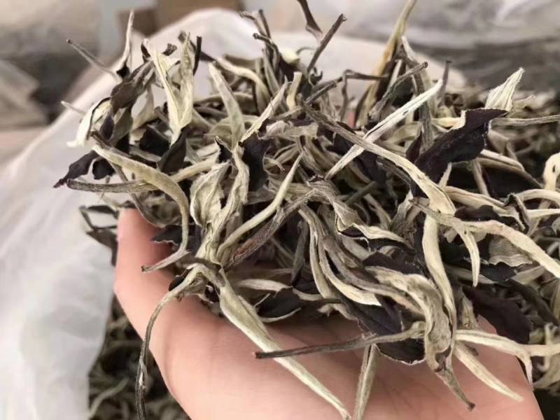 云南大白茶，清甜有回甘