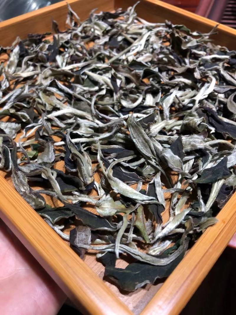 云南大白茶，清甜有回甘