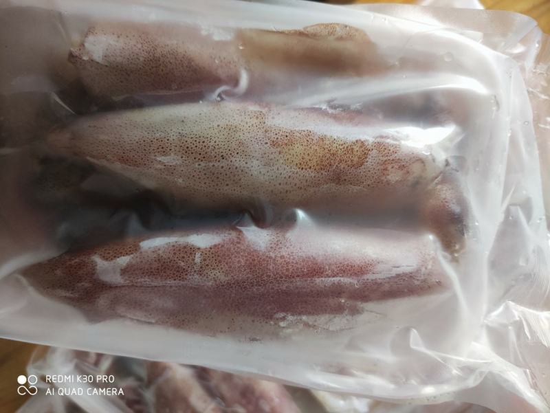 鱿鱼精品装88888888888888888888