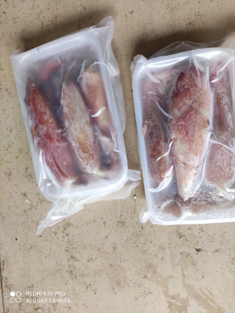 鱿鱼精品装88888888888888888888