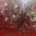 【热销中】小龙虾新鲜虾尾，肉质饱满，诚信经营