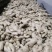 大黄姜生姜山东地头直发自产自销可视频看货欢迎咨询