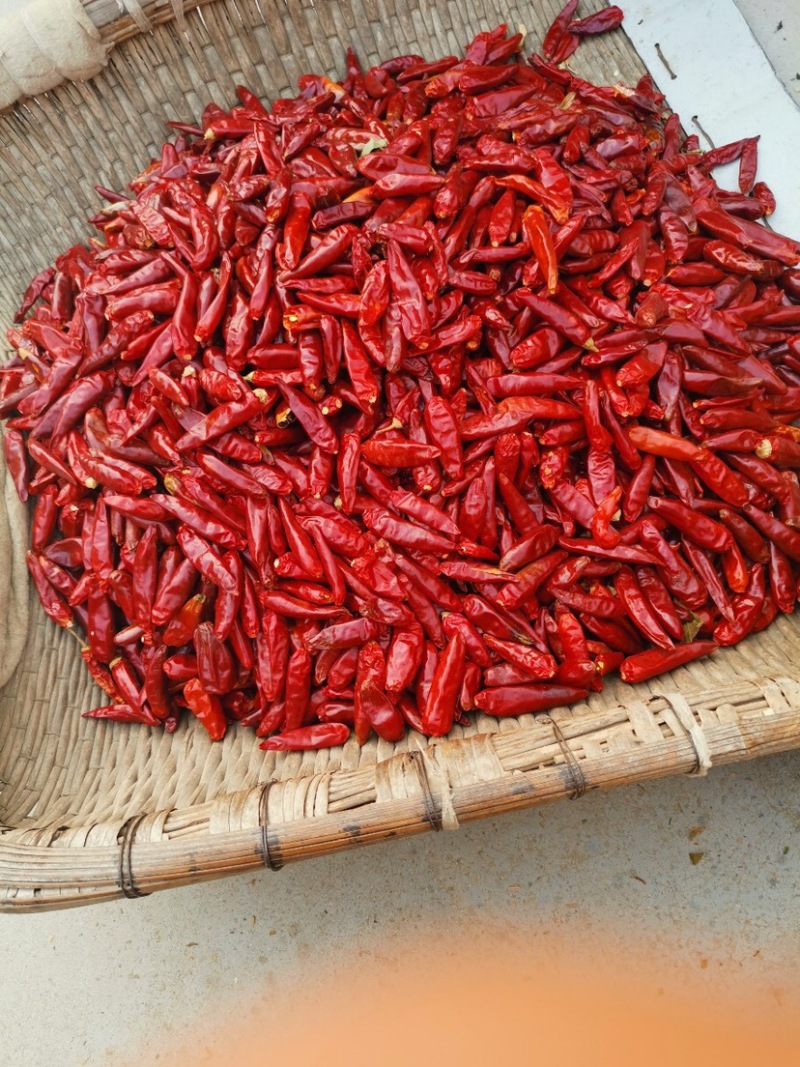 河南新一代干朝天椒干辣椒维拉香型辣椒火锅底料魔鬼椒