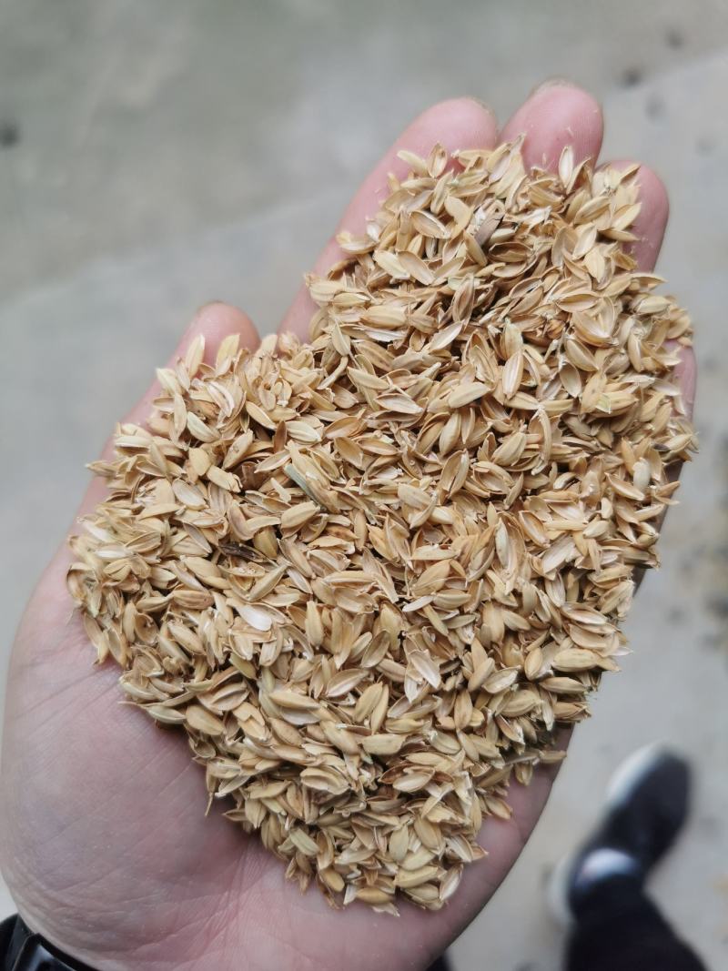 杭州市区，圆稻壳，袋装不压缩，干净稻壳。长期出售。